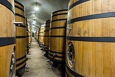 EA SPORTS FC™ 25冬季大促，复古球衣重磅上线